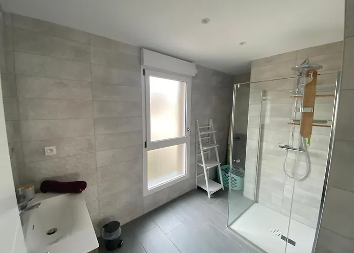 Orchidees Proche Centre Colmar