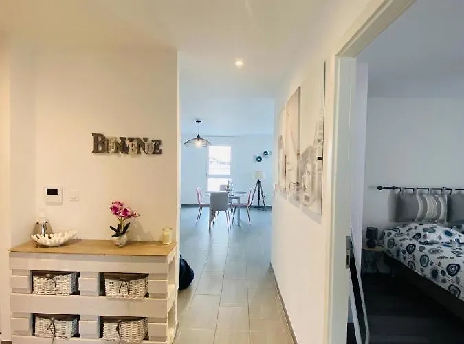 Orchidees Proche Centre Daire Colmar