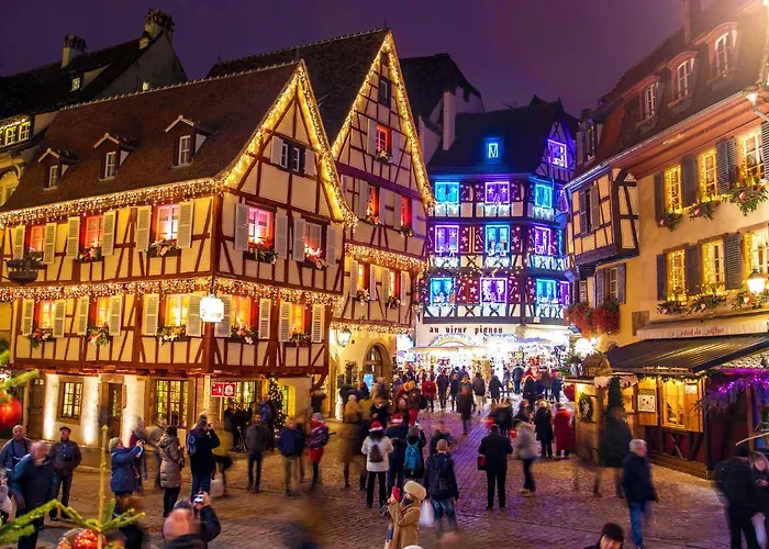 Orchidees Proche Centre Daire