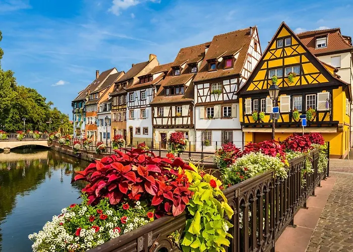 Orchidees Proche Centre