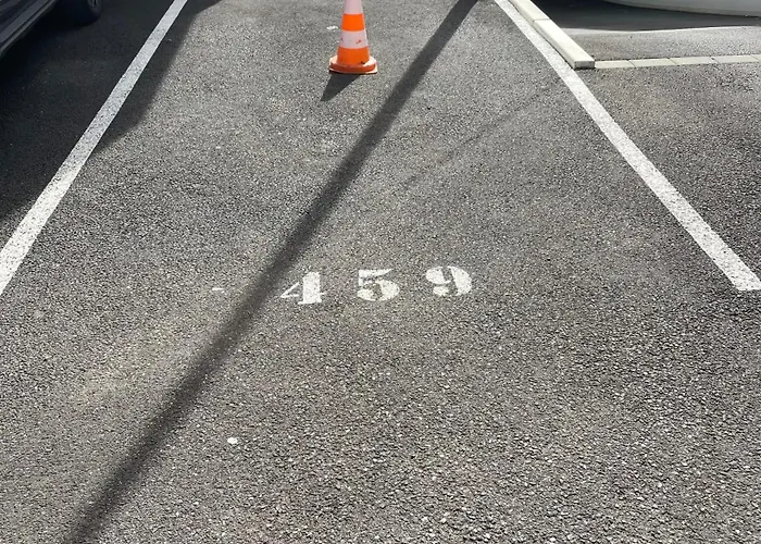 Orchidees Proche Centre