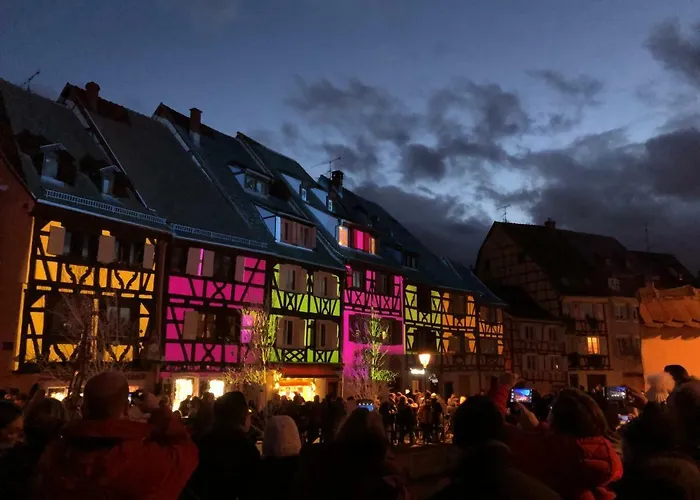 Daire Orchidees Proche Centre